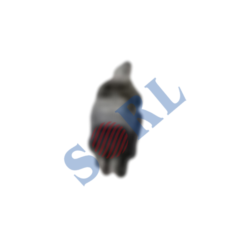 小圖